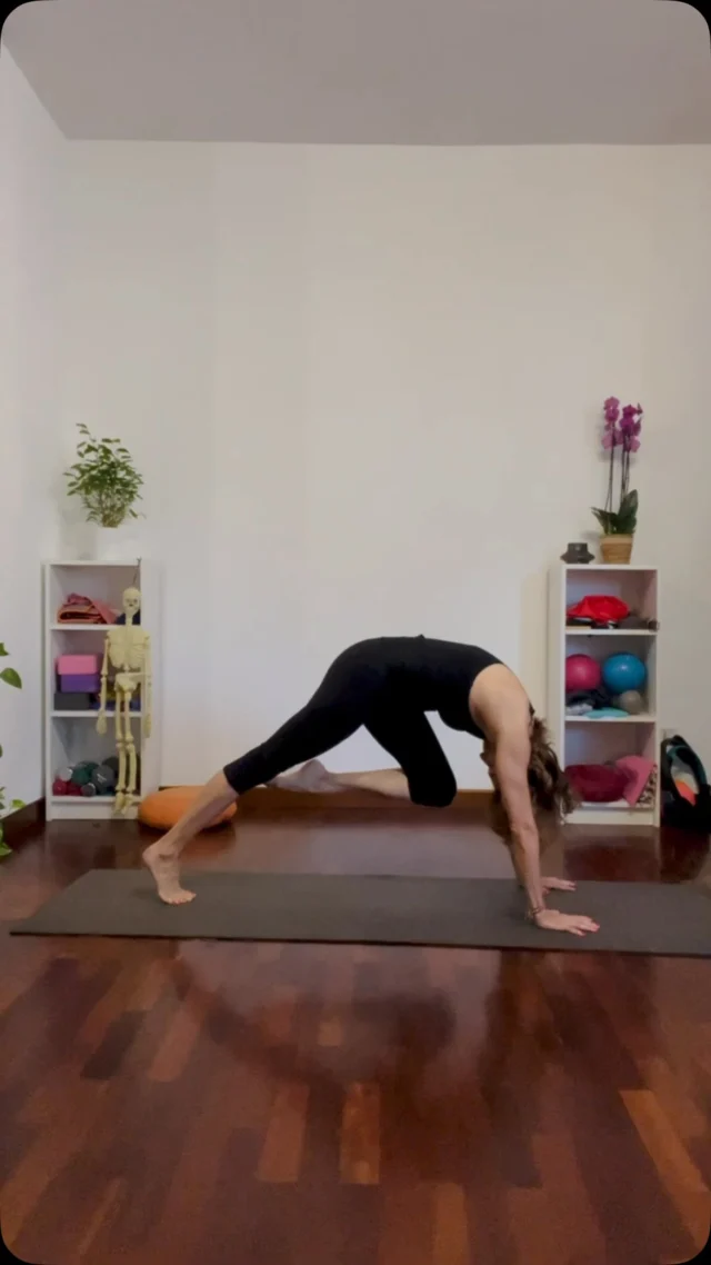 ✨

𝗙𝗨𝗡𝗖𝗧𝗜𝗢𝗡𝗔𝗟 𝗬𝗢𝗚𝗔

Functional Yoga non è uno stile di Yoga, ma un modo di preparare e organizzare il corpo per la pratica.

Un lavoro che integra elementi dell’allenamento funzionale allo Yoga, sviluppando forza, mobilità, stabilità e controllo, senza perdere il rapporto con il respiro, l’ascolto e la consapevolezza.

Le posture non sono un obiettivo da raggiungere, ma diventano strumenti per imparare a muoversi in modo più efficace, coordinato e rispettoso del proprio corpo.

Ogni martedì | 19:00–20:00 | Online

✨ Lezione di prova gratuita ✨

Per informazioni
www.danielaborroni.it