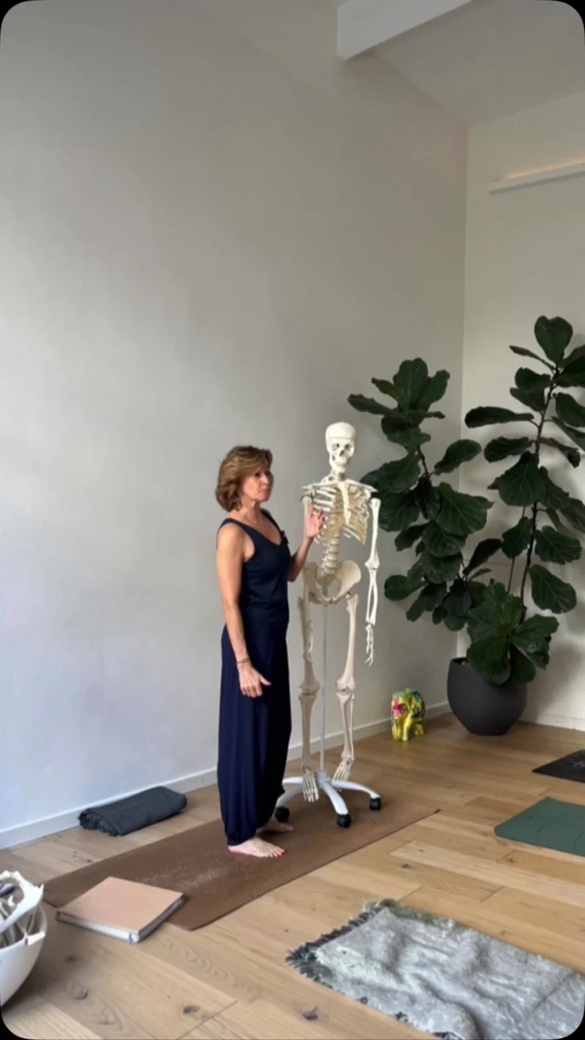 ✨

𝗣𝗥𝗜𝗠𝗢 𝗜𝗡𝗖𝗢𝗡𝗧𝗥𝗢 𝗗𝗜 𝗔𝗡𝗔𝗧𝗢𝗠𝗜𝗔
𝗧𝗘𝗔𝗖𝗛𝗘𝗥 𝗧𝗥𝗔𝗜𝗡𝗜𝗡𝗚 𝗔𝗦𝗛𝗧𝗔𝗡𝗚𝗔 𝗩𝗜𝗡𝗬𝗔𝗦𝗔 𝗬𝗢𝗚𝗔 𝟮𝟬𝟬 𝗢𝗥𝗘

Questa mattina a @milanoyogaspace il primo incontro del percorso di anatomia è stato dedicato alla 𝗿𝗲𝘀𝗽𝗶𝗿𝗮𝘇𝗶𝗼𝗻𝗲: 𝗱𝗮𝗹𝗹’𝗮𝘂𝘁𝗼𝗺𝗮𝘁𝗶𝘀𝗺𝗼 𝗮𝗹𝗹𝗮 𝗰𝗼𝗻𝘀𝗮𝗽𝗲𝘃𝗼𝗹𝗲𝘇𝘇𝗮.

Siamo partiti dall’automatismo del respiro per arrivare alla possibilità di osservarlo, percepirlo e renderlo consapevole, intrecciando anatomia, movimento, esperienza e pratica dello Yoga.

Un grazie particolare a tutti i partecipanti, per l’attenzione, la curiosità, le domande e la disponibilità a sperimentare. È proprio dal confronto, dalle osservazioni e dalle esperienze condivise che la teoria prende forma e diventa qualcosa che possiamo davvero riconoscere nel nostro corpo e nella pratica.

Grazie a @mariannaborga_ e a @milanoyogaspace per avermi affidato ancora una volta questo spazio di approfondimento e a @giulietteria per la presenza e la collaborazione.

Un bellissimo inizio di percorso, ricco di studio, ascolto e condivisione ♥️

#AshtangaVinyasaYoga #TeacherTraining200h #AnatomiaYoga #Respirazione #MilanoYogaSpace